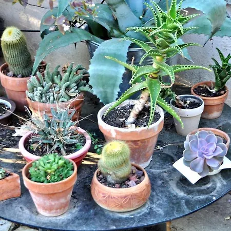 Il Boom 호텔 로마