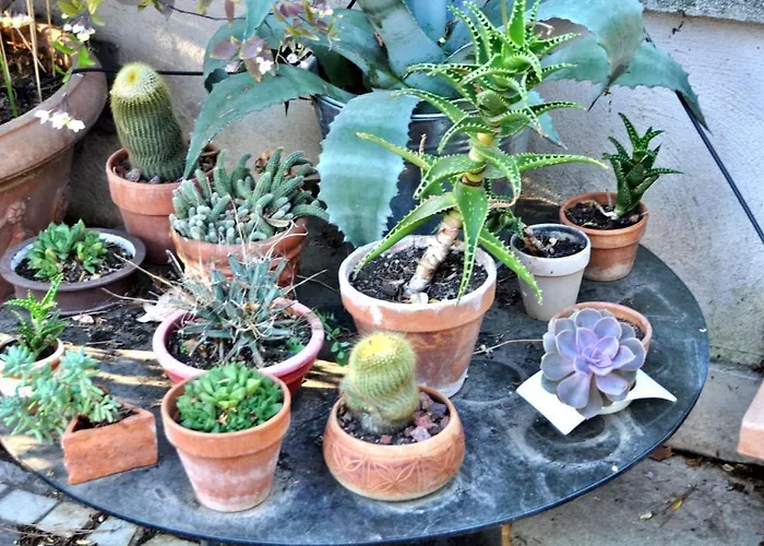 Il Boom 酒店 罗马