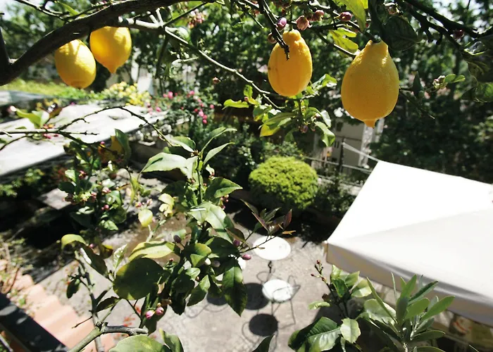 Il Boom Ξενοδοχείο 2*